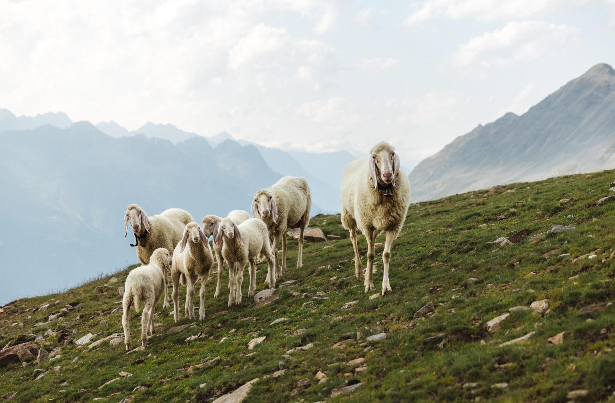 Apart Talblick Sölden Exteriör bild